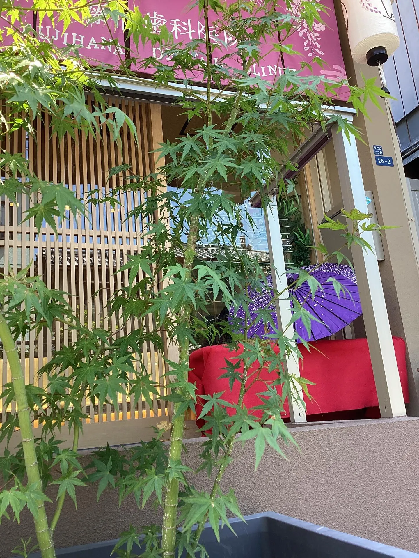 藤花歯科医院のクールスポットをご紹介します🦷