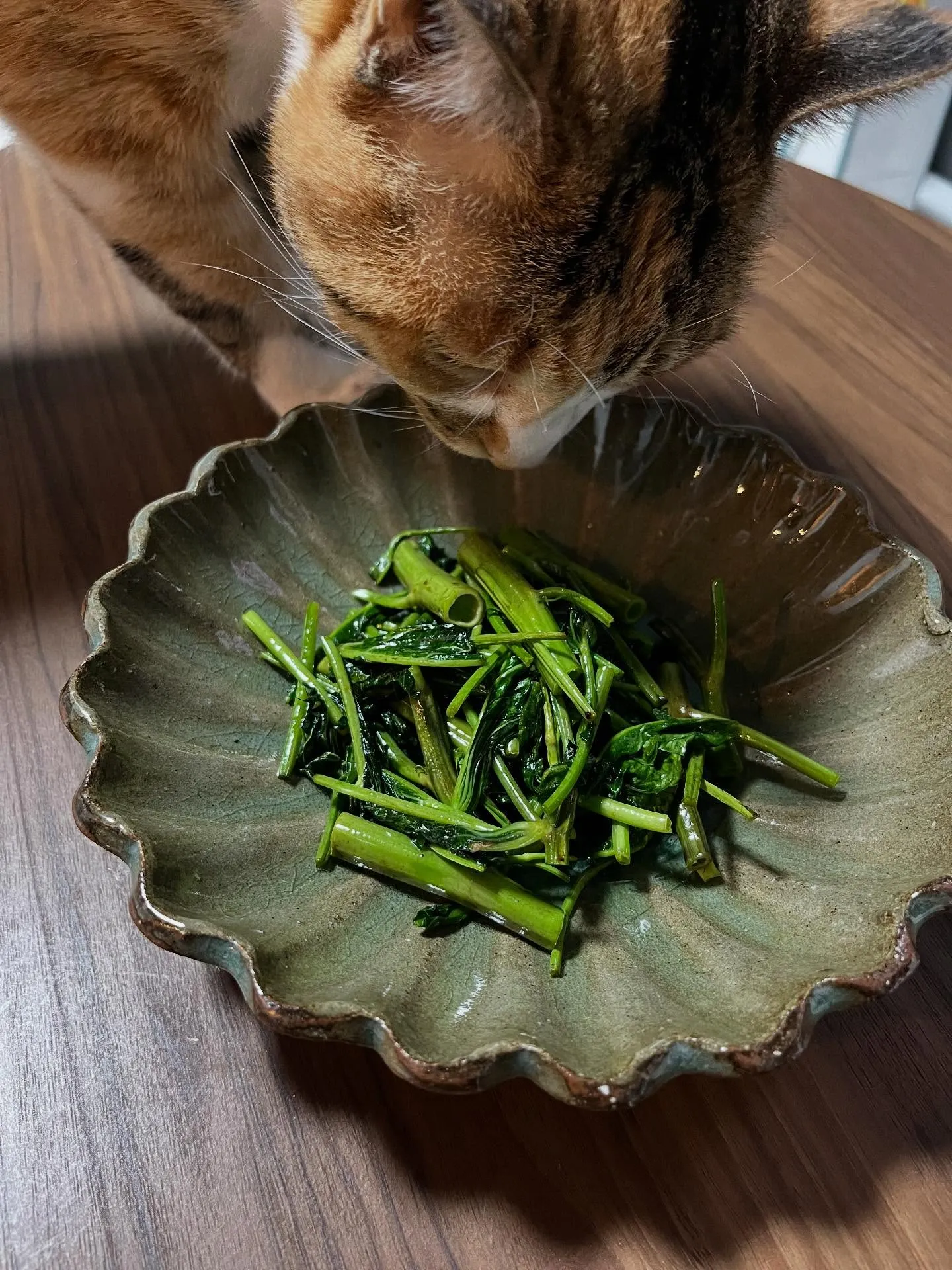 本日も多くの患者様にお越しいただき、心より感謝申し上げます😊