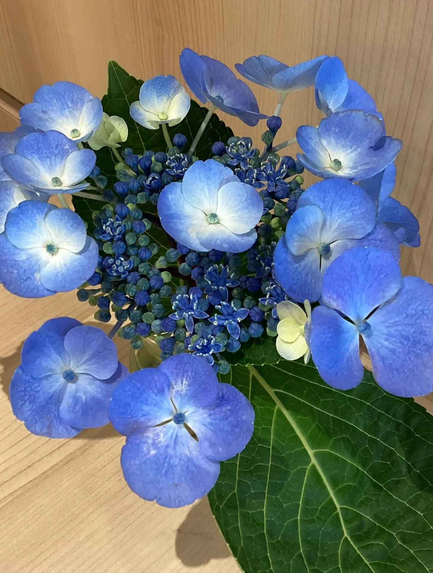 本日も多くの患者様にお越しいただき、心より感謝申し上げます😊