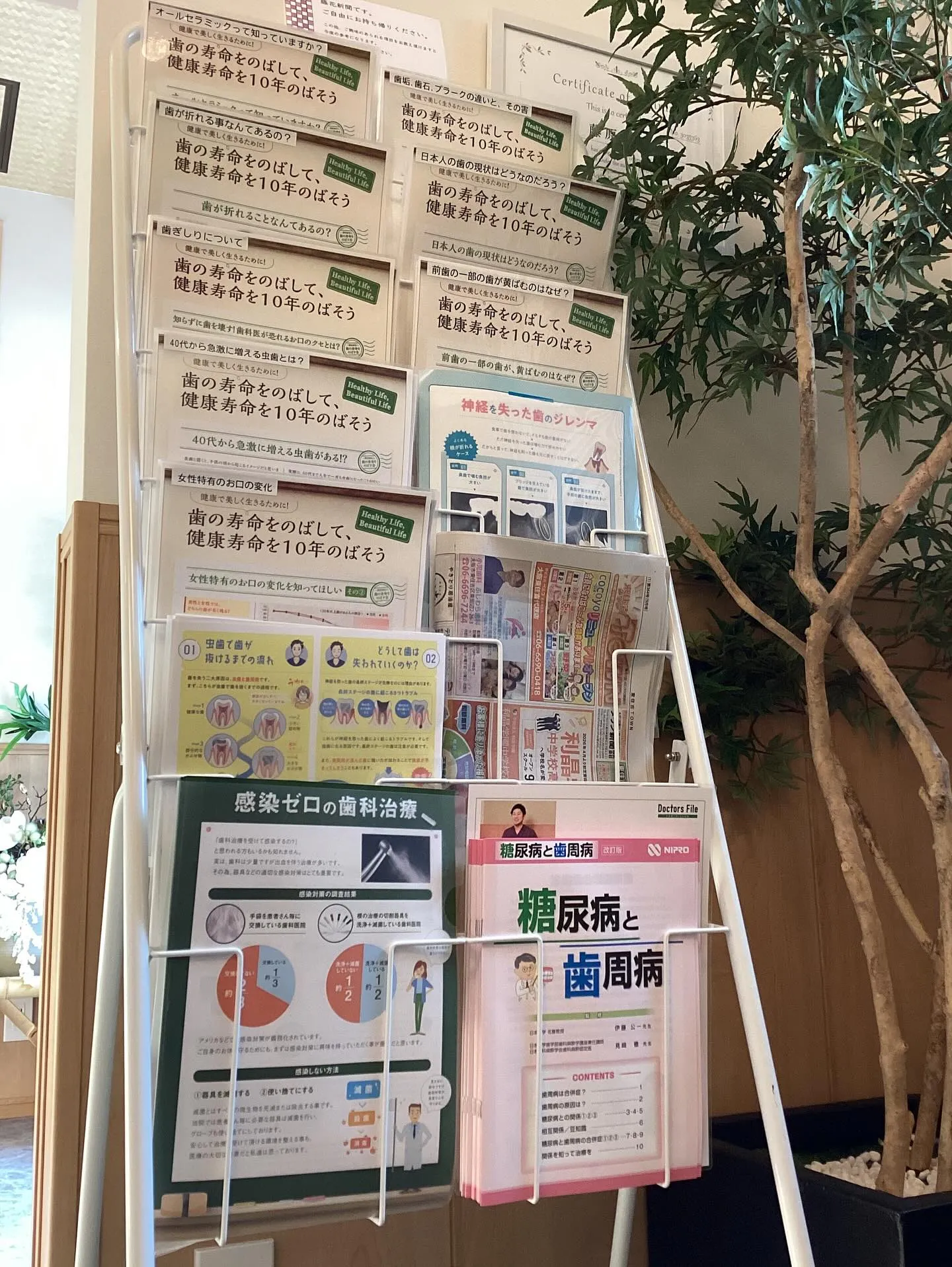 新しい絵本が待合室に登場しました！📚✨ 